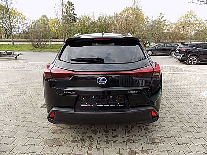 Lexus UX 250h Style Edition Tech-Service bis 02/2025 Klima